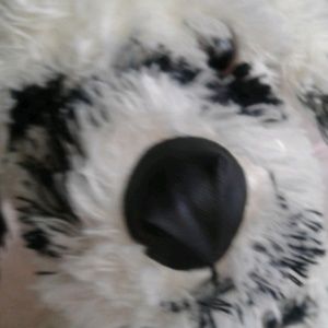 Meet your Posher, Lechi